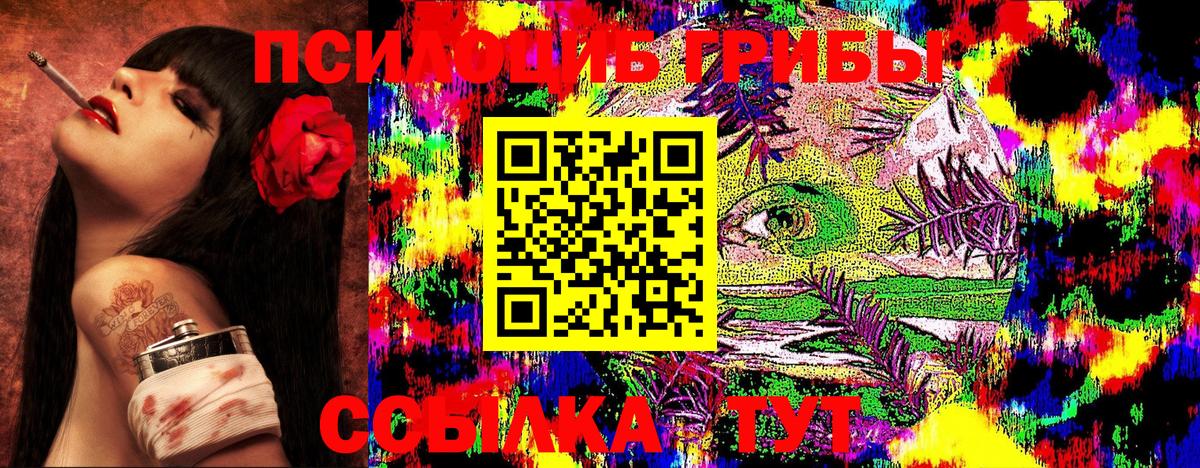 Псилоцибиновые грибы MAGIC MUSHROOMS  Вход с VPN  Евпатория 